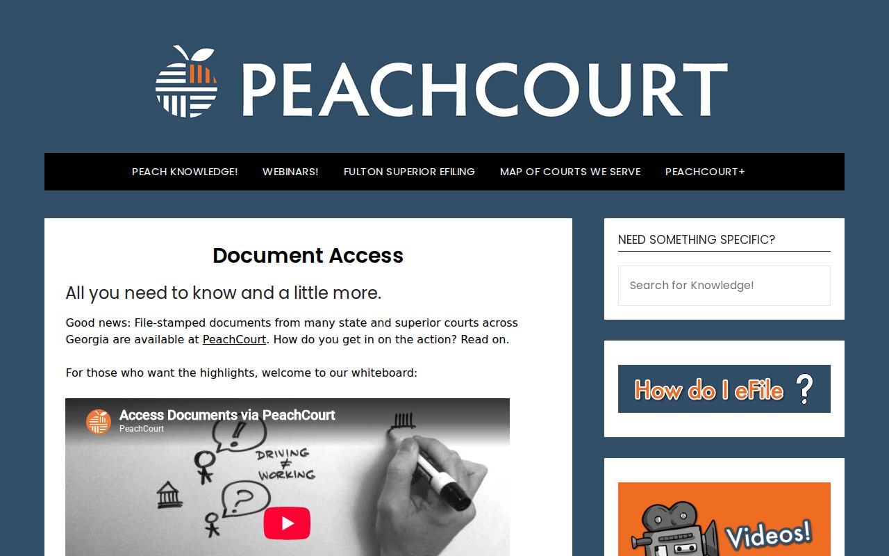 Bleckley County criminal case document access through PeachCourt