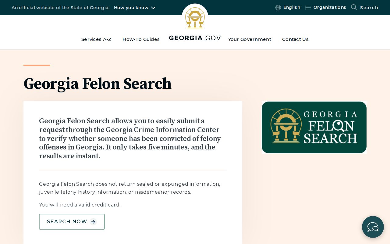 Georgia Felon Search fields and public felony-conviction search